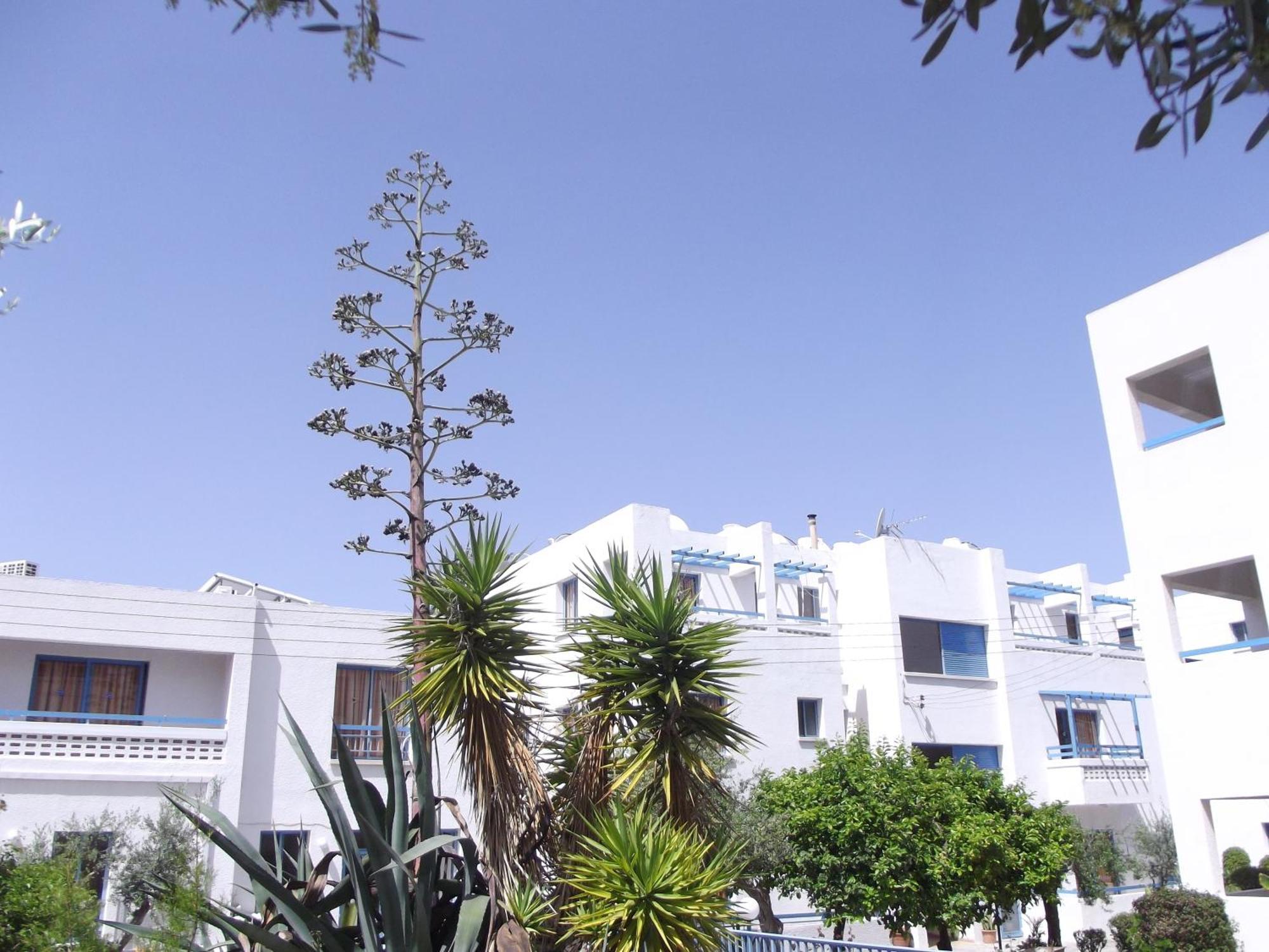Kefalonitis Hotel Apartments Paphos Exterior foto