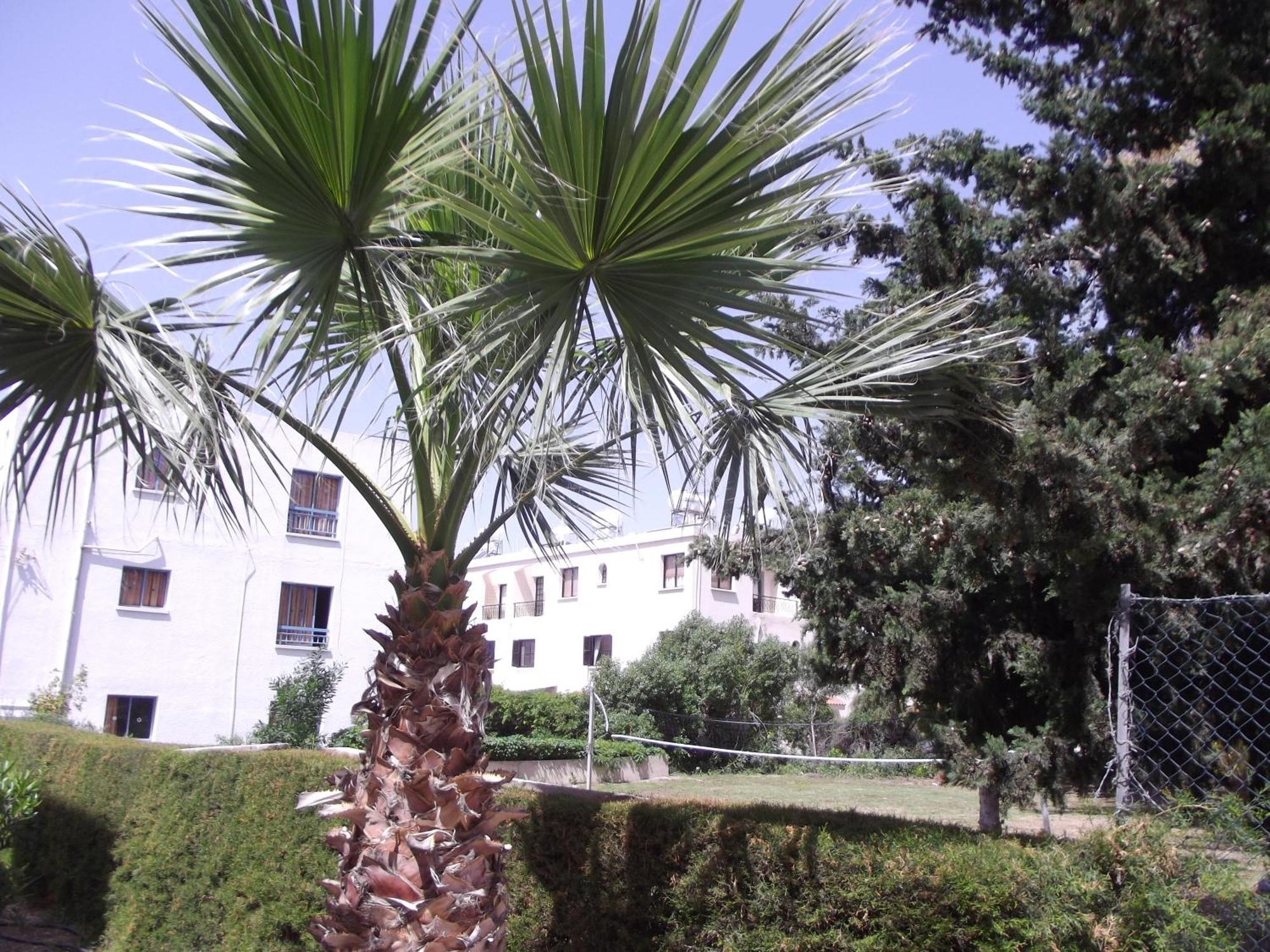 Kefalonitis Hotel Apartments Paphos Exterior foto