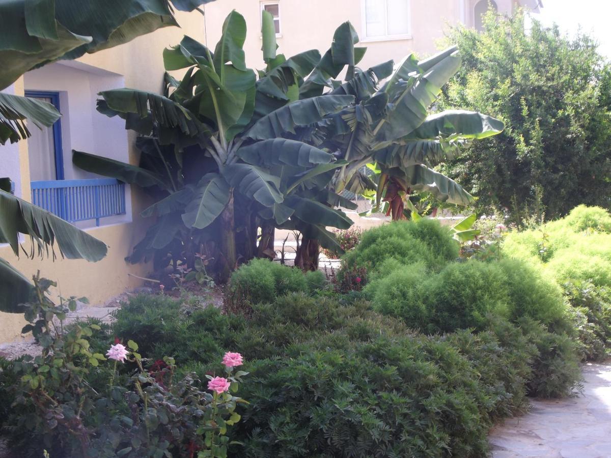 Kefalonitis Hotel Apartments Paphos Exterior foto